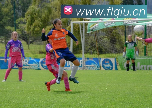 leyu乐鱼在线官网 - 乐鱼leyu(中国)服务体系